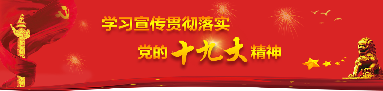 学习宣传贯彻落实党的十九大精神